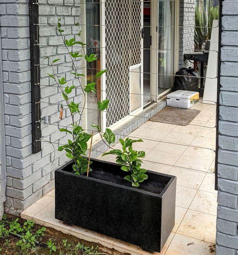 bunnings trellis|Wire trellis for climbing plants .